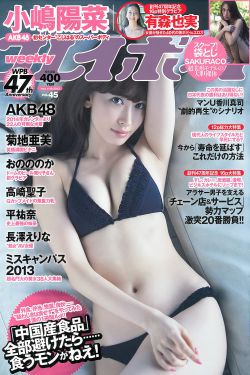 疯狂的小鸟